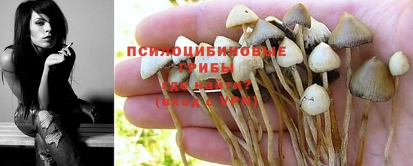 бошки Армянск