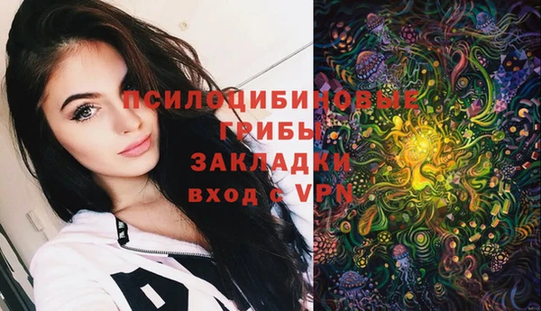 не бодяженный Аркадак
