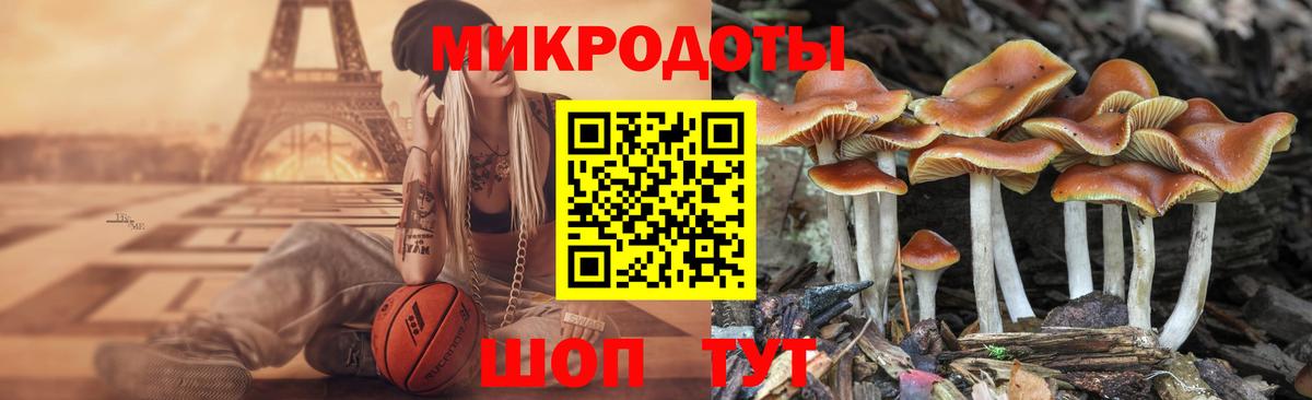 Черняховск  Галлюциногенные грибы Cubensis  Галлюциногенные грибы Magic Shrooms  Вход с VPN 